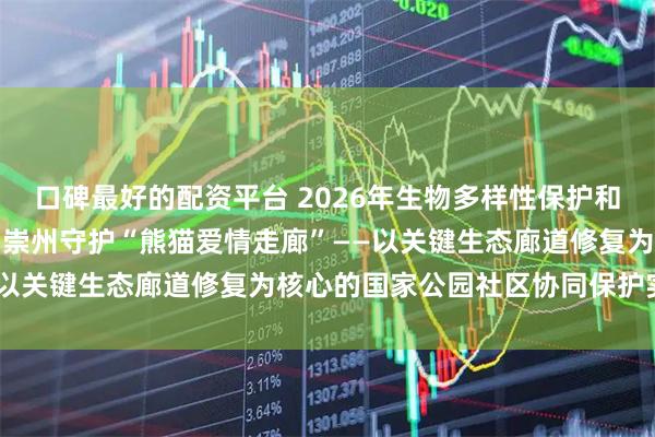 口碑最好的配资平台 2026年生物多样性保护和可持续利用实践成果②丨崇州守护“熊猫爱情走廊”——以关键生态廊道修复为核心的国家公园社区协同保护实践