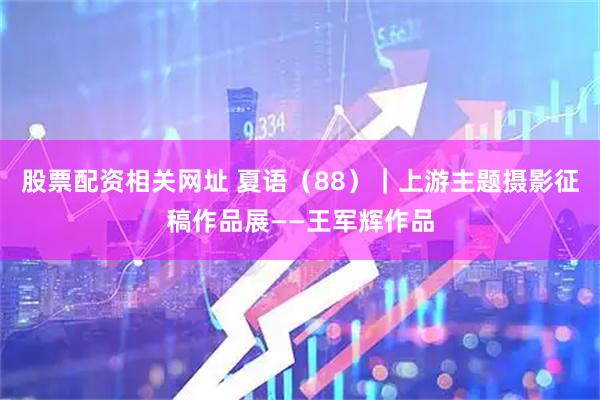 股票配资相关网址 夏语（88）｜上游主题摄影征稿作品展——王军辉作品