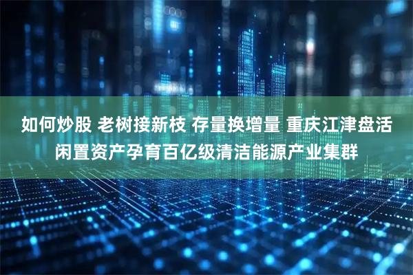 如何炒股 老树接新枝 存量换增量 重庆江津盘活闲置资产孕育百亿级清洁能源产业集群